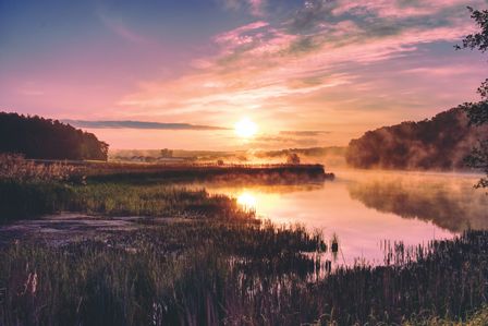 Paysage appaisant, coloré brumeux d'un lever de soleil sur le bord d'une rivière