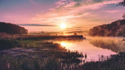 Paysage appaisant, coloré brumeux d'un lever de soleil sur le bord d'une rivière