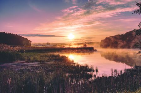 Paysage appaisant, coloré brumeux d'un lever de soleil sur le bord d'une rivière