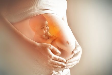 Dessin d'une femme enceinte tenant son ventre montrant un enfant à l'interieur