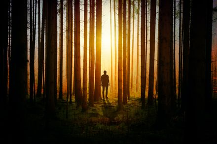 Silhouette d'un homme dans une forêt en contre-jour d'un lever de soleil lumineux