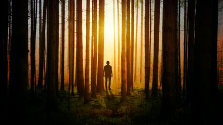 Silhouette d'un homme dans une forêt en contre-jour d'un lever de soleil lumineux