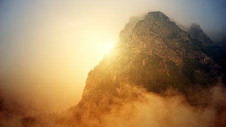 Montagne arborée et embrumée brillante de la lumière dorée diffuse du soleil