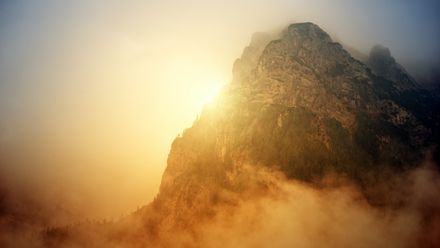 Montagne arborée et embrumée brillante de la lumière dorée diffuse du soleil