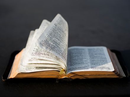 Bible ouverte dont les pages se tournent sous l'effet du vent