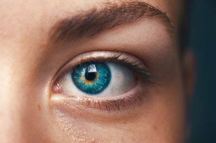Gros plan d'un oeil bleu féminin