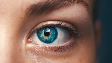 Gros plan d'un oeil bleu féminin