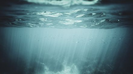 Gros plan d'une vague prise depuis le dessous de la mer