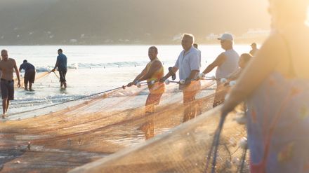 Groupe d'hommes tenant un filet de pêche sur une plage dans une atmosphère de soleil rasant