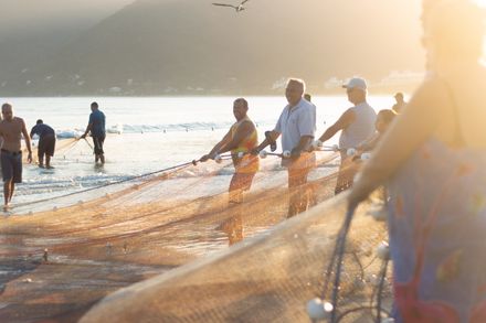 Groupe d'hommes tenant un filet de pêche sur une plage dans une atmosphère de soleil rasant